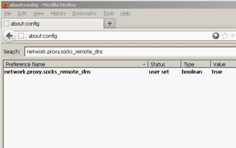 proxy_socks_remote_dns,private proxies,firefox socks